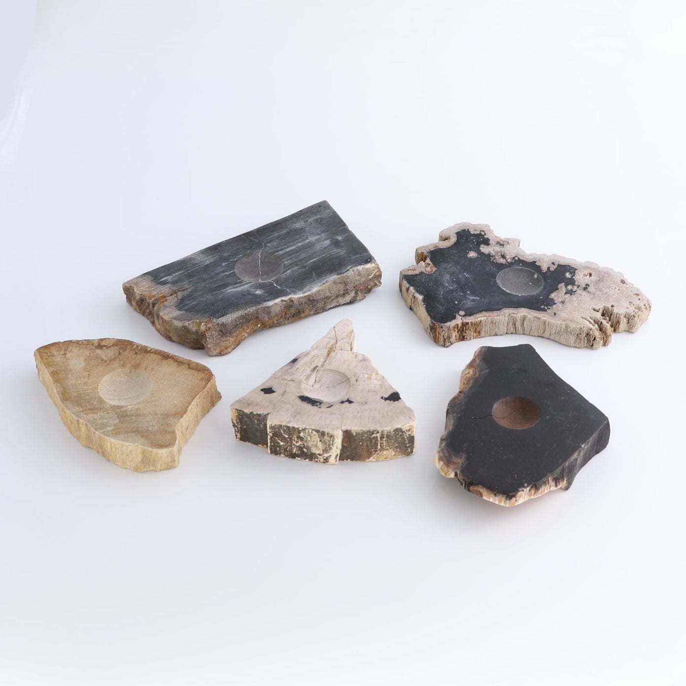 One Petrified Wood Sphere Holder