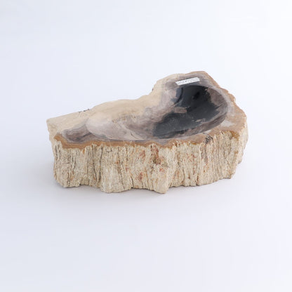 One Petrified Wood Brown & Black Rough Bowl