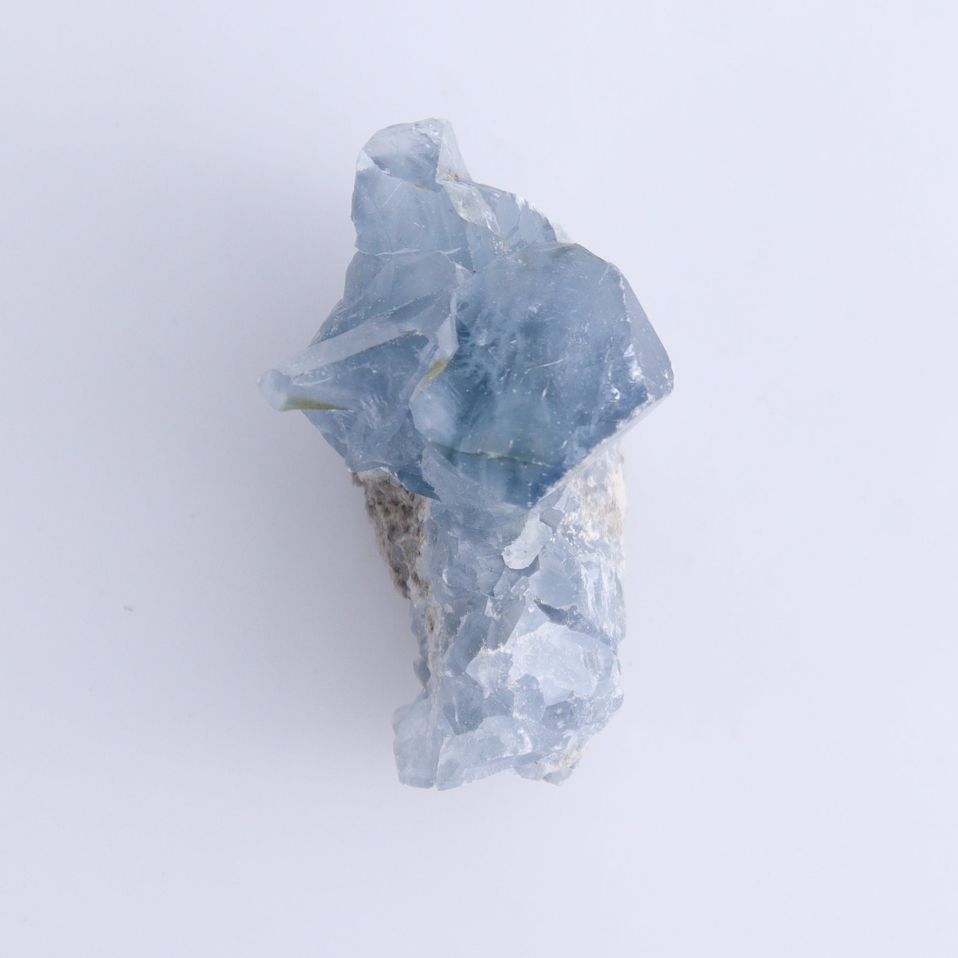 Celestite Clusters Set of 9 - Expert Wholesale and Supplier of Wholesale Crystals & Bulk Gemstones, ["Celestite","Freeform"]