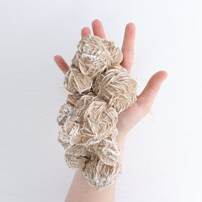 Desert Rose Set of 3