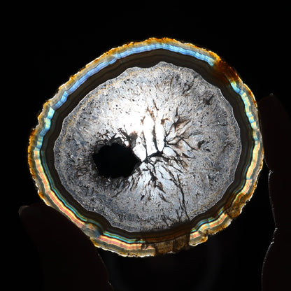 Iris Agate Slices Set of 6 - Expert Wholesale and Supplier of Wholesale Crystals & Bulk Gemstones, ["Agate","Iris Agate","Slices and Slabs"]