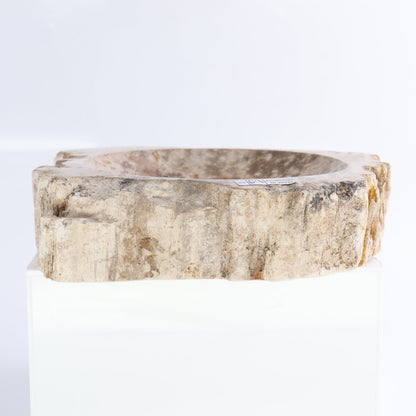 Petrified Wood Bowls Set of 2