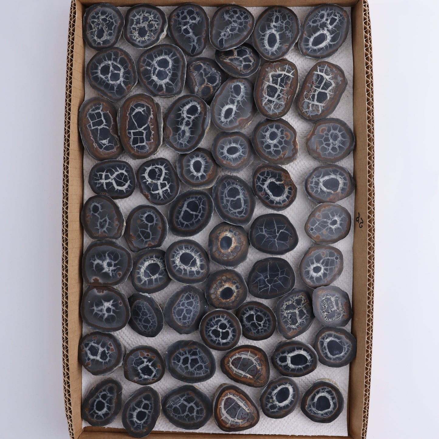 Septarian Geodes Flat - Expert Wholesale and Supplier of Wholesale Crystals & Bulk Gemstones, ["Geodes","Septarian"]