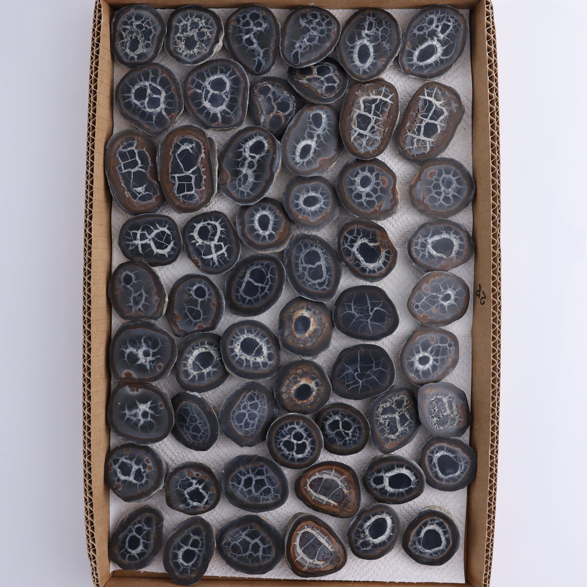 Septarian Geodes Flat - Expert Wholesale and Supplier of Wholesale Crystals & Bulk Gemstones, ["Geodes","Septarian"]