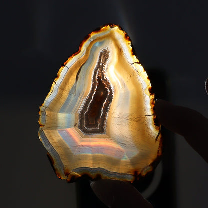 Iris Agate Slices Set of 8 - Expert Wholesale and Supplier of Wholesale Crystals & Bulk Gemstones, ["Agate","Iris Agate","Slices and Slabs"]