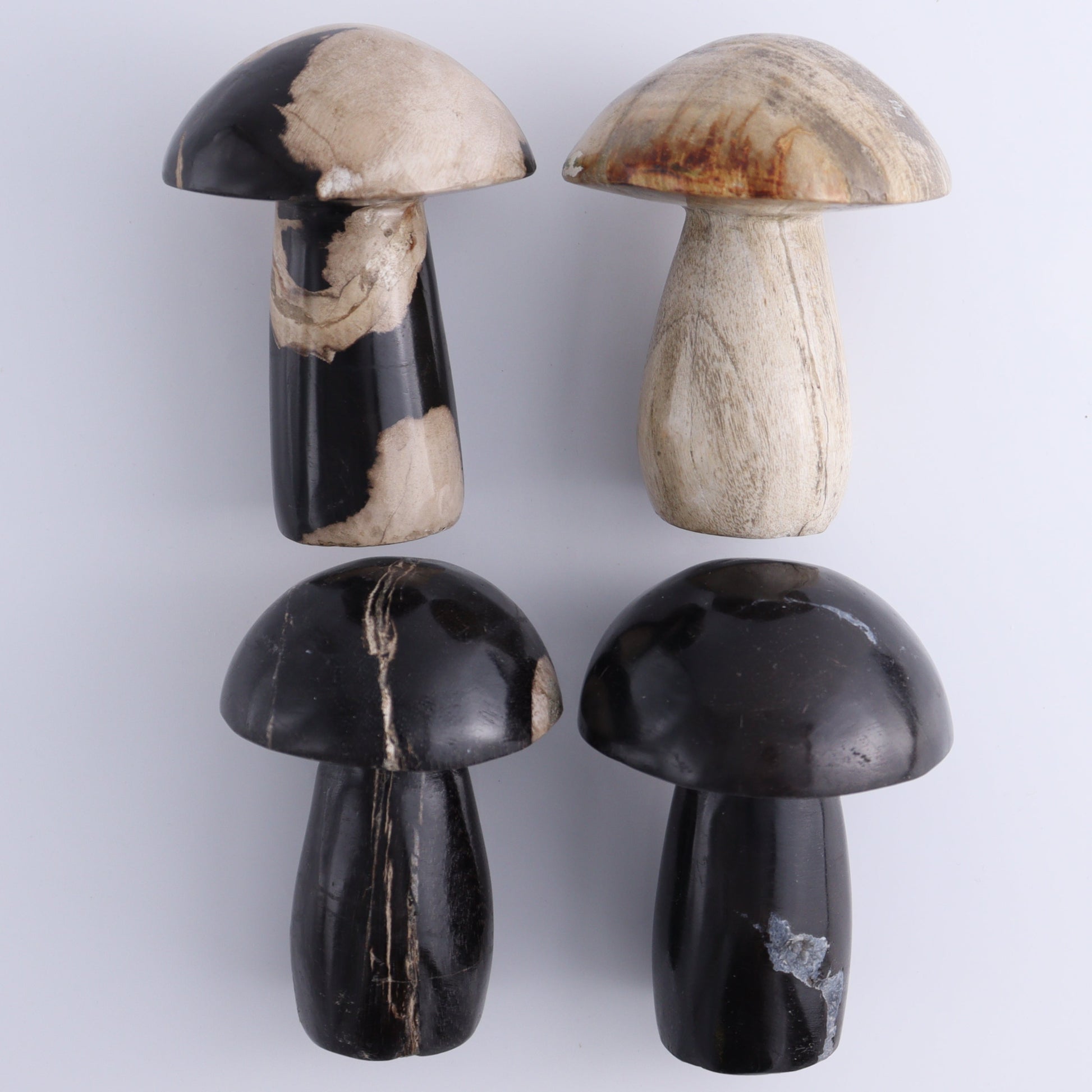Petrified Wood Mushrooms Set of 4 - Expert Wholesale and Supplier of Wholesale Crystals & Bulk Gemstones, ["Indonesia","Mushrooms","Petrified Wood"]