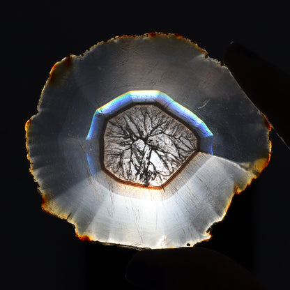 Iris Agate Slices Set of 6 - Expert Wholesale and Supplier of Wholesale Crystals & Bulk Gemstones, ["Agate","Iris Agate","Slices and Slabs"]