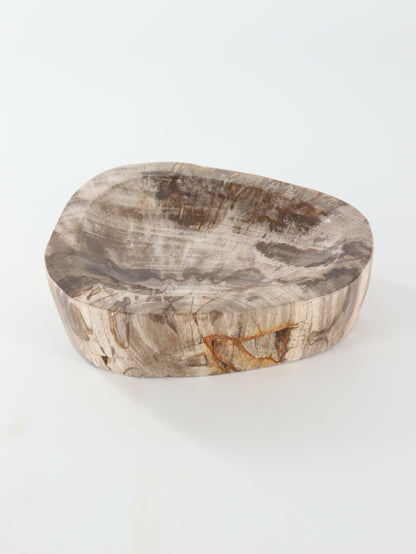 Petrified Wood Bowl - Expert Wholesale and Supplier of Wholesale Crystals & Bulk Gemstones, []