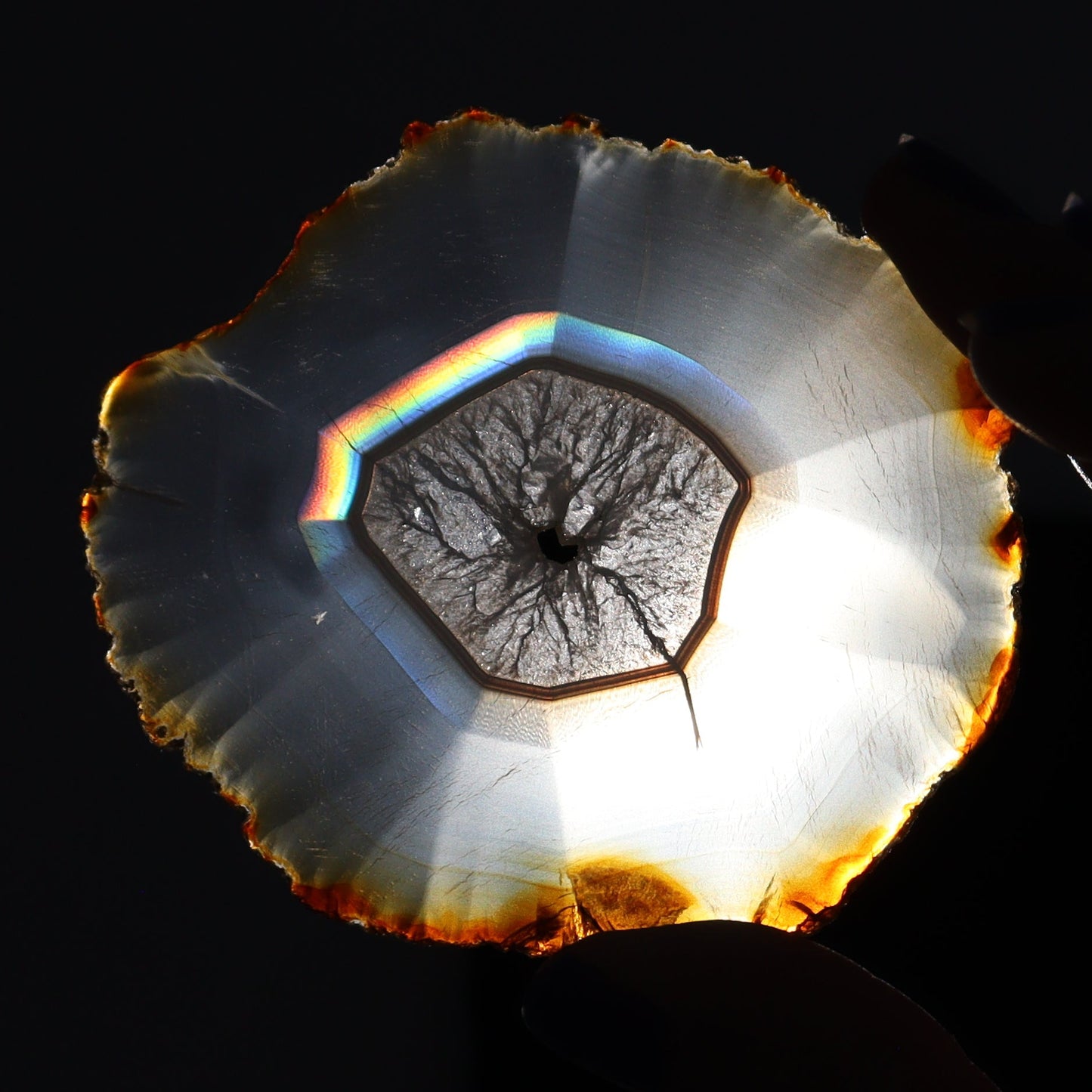 Iris Agate Slices Set of 6 - Expert Wholesale and Supplier of Wholesale Crystals & Bulk Gemstones, ["Agate","Iris Agate","Slices and Slabs"]