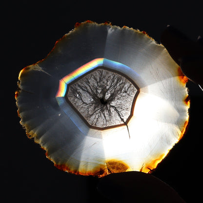 Iris Agate Slices Set of 6 - Expert Wholesale and Supplier of Wholesale Crystals & Bulk Gemstones, ["Agate","Iris Agate","Slices and Slabs"]