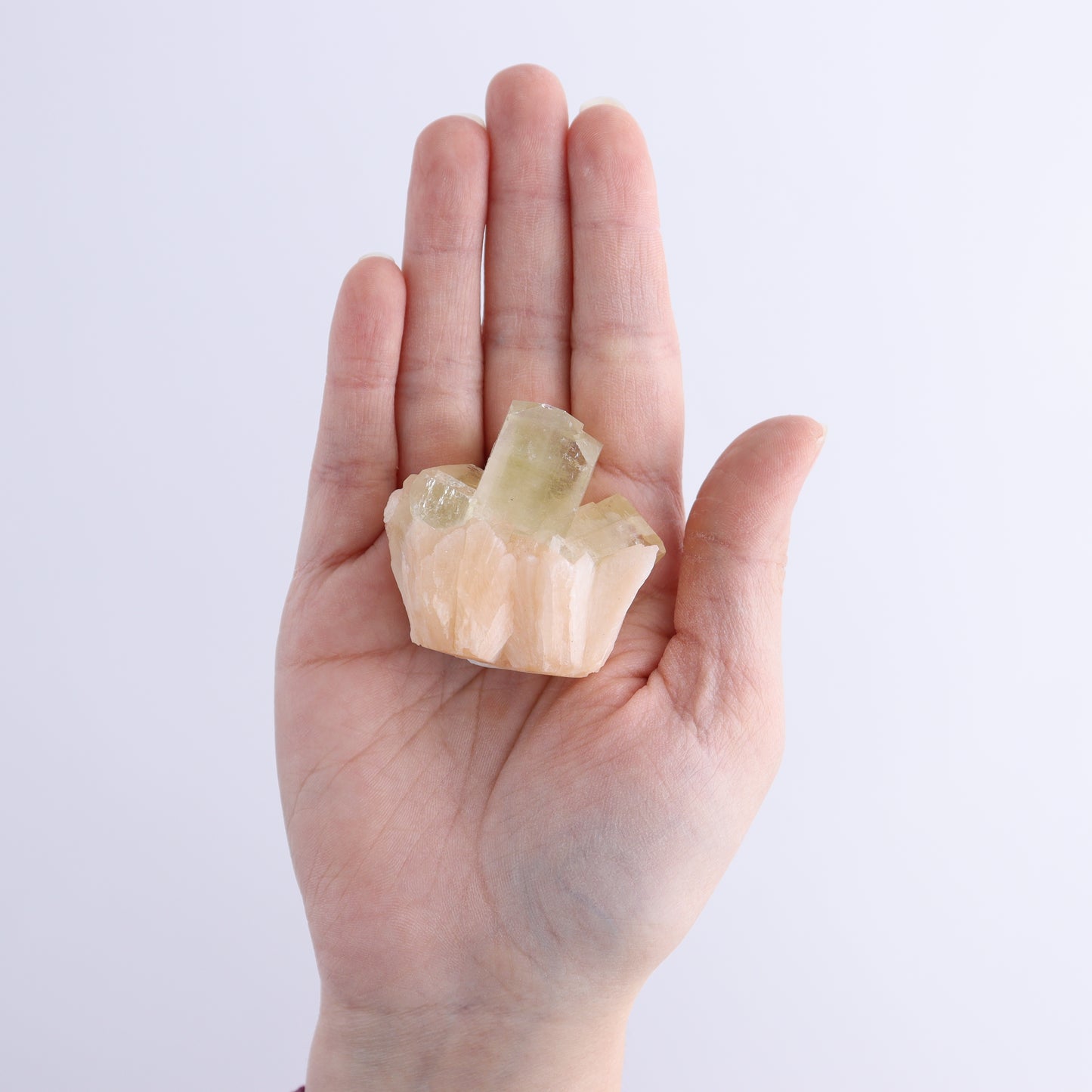 Apophyllite Clusters Flat of 12