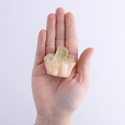 Apophyllite Clusters Flat of 12