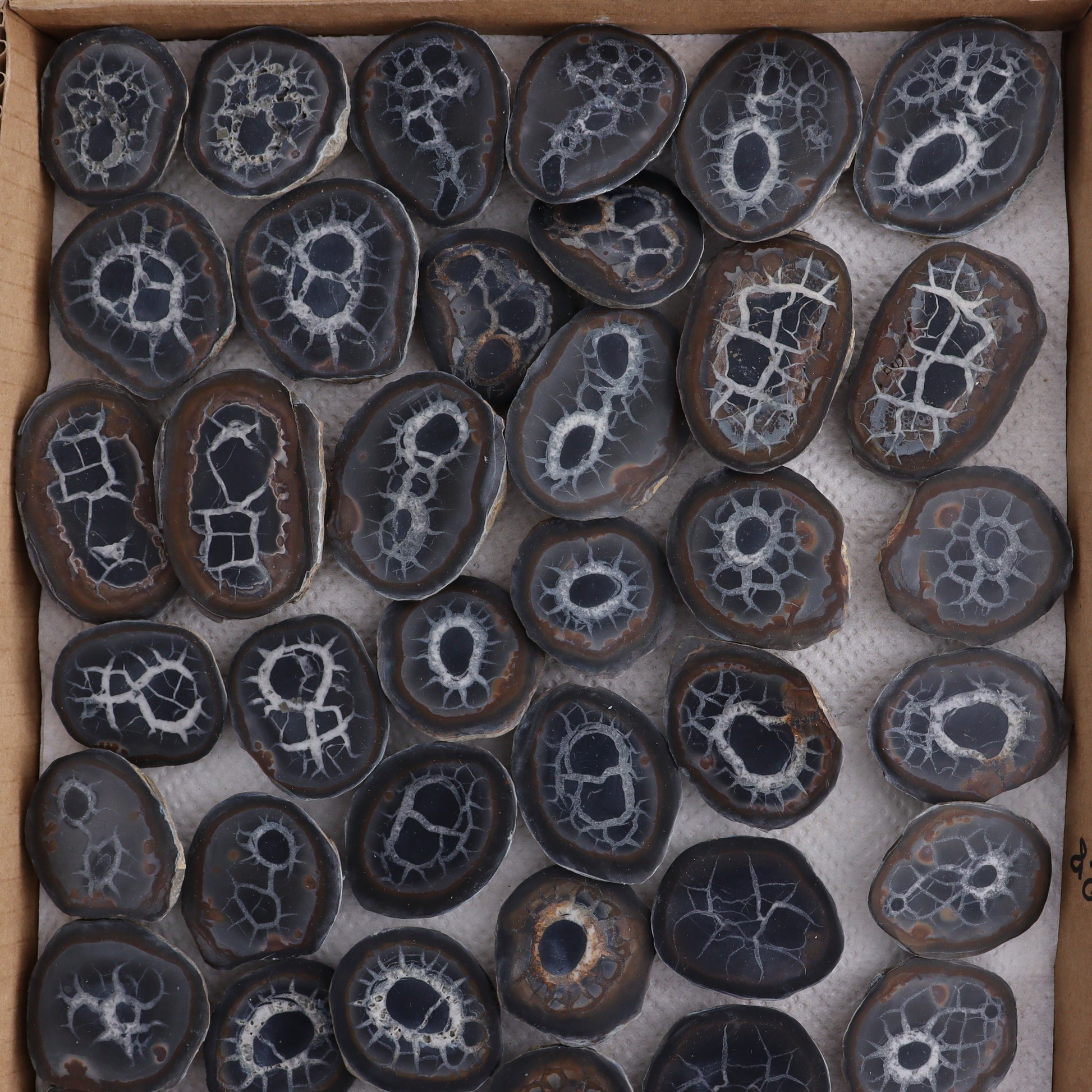 Septarian Geodes Flat - Expert Wholesale and Supplier of Wholesale Crystals & Bulk Gemstones, ["Geodes","Septarian"]