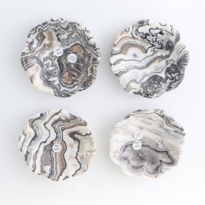One Mexican Onyx/Calcite Black & White Zebra Scalloped Dish 10 cm