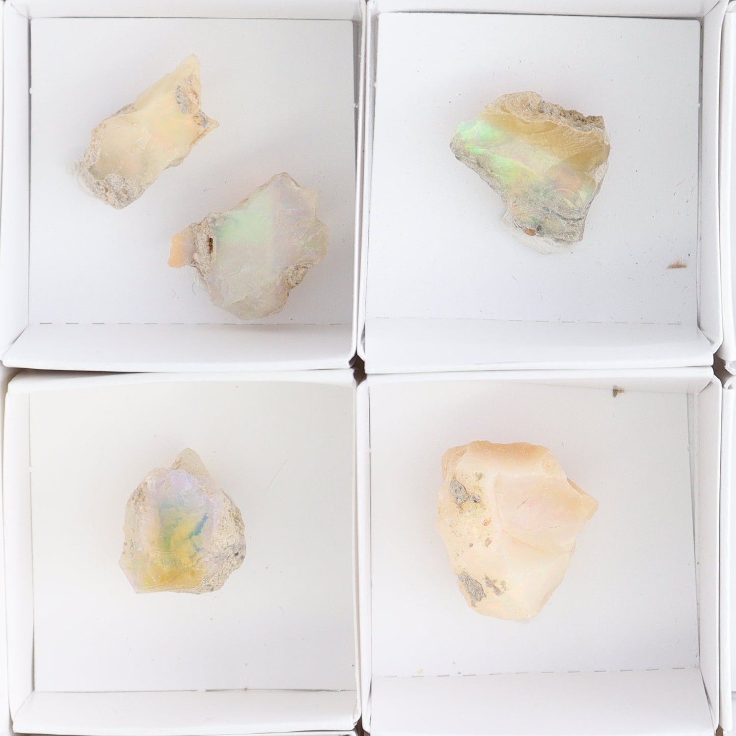 Ethiopian Opal Set of 10 - Expert Wholesale and Supplier of Wholesale Crystals & Bulk Gemstones, ["Ethiopia","ethiopian opal","Opal"]