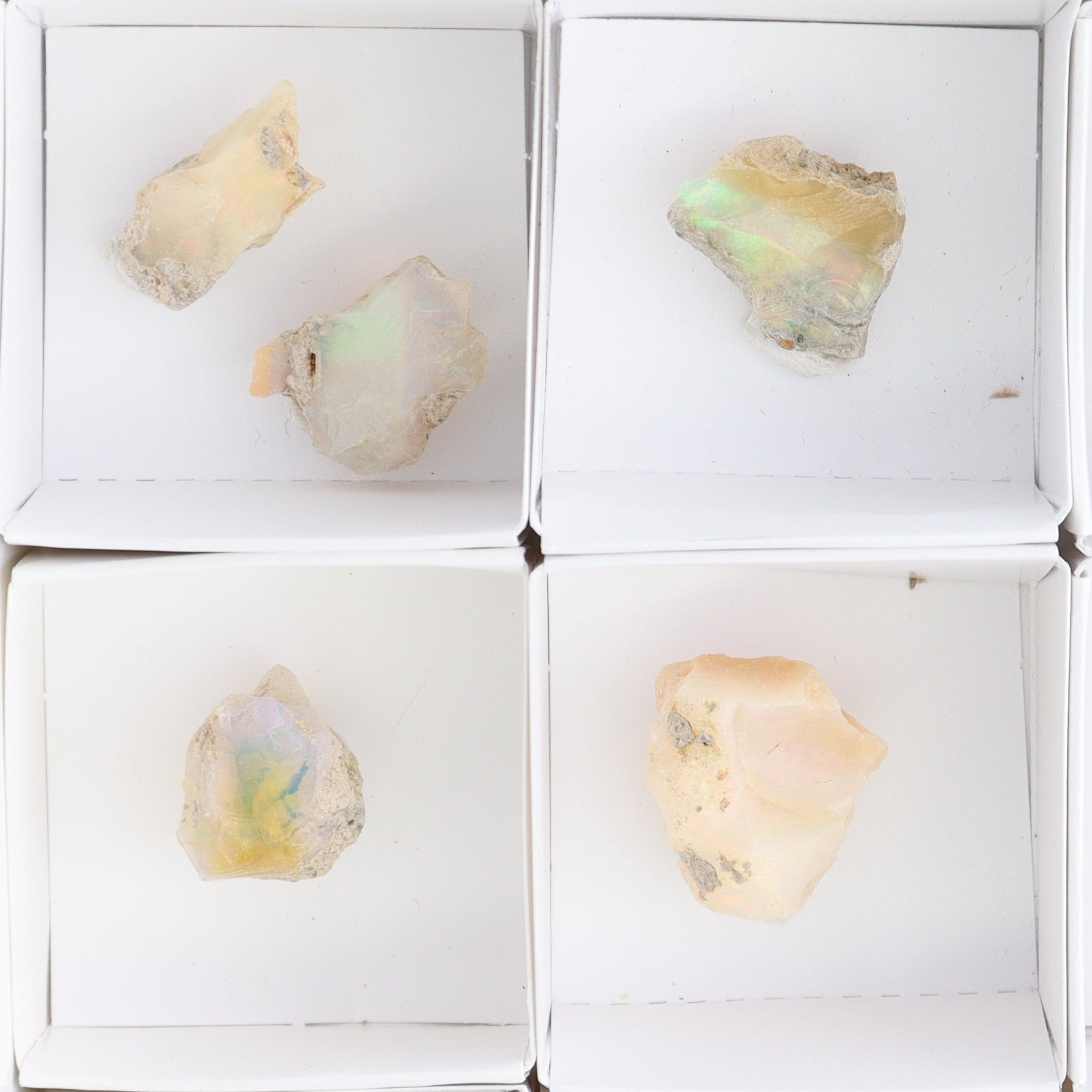 Ethiopian Opal Set of 10 - Expert Wholesale and Supplier of Wholesale Crystals & Bulk Gemstones, ["Ethiopia","ethiopian opal","Opal"]