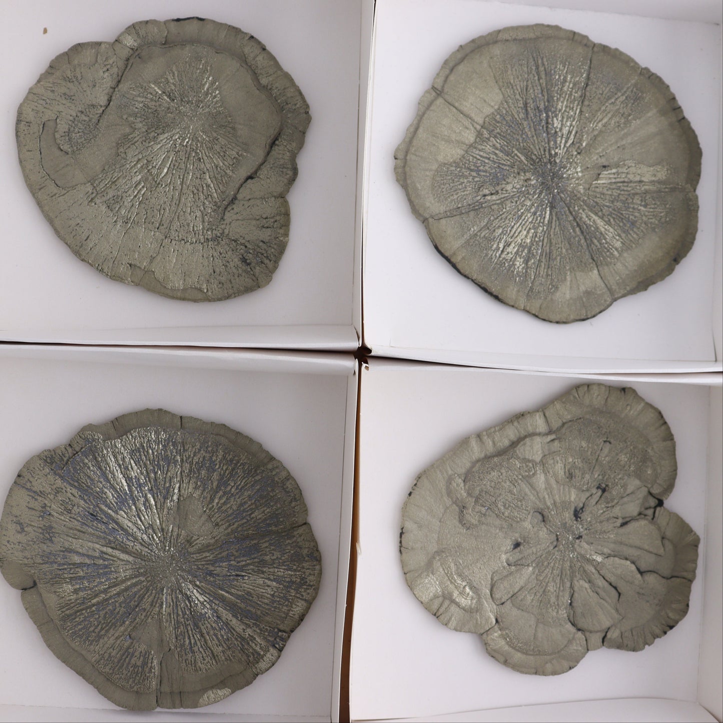 Pyrite Suns Flat of 6 - Expert Wholesale and Supplier of Wholesale Crystals & Bulk Gemstones, ["Pyrite","Suns","United States"]