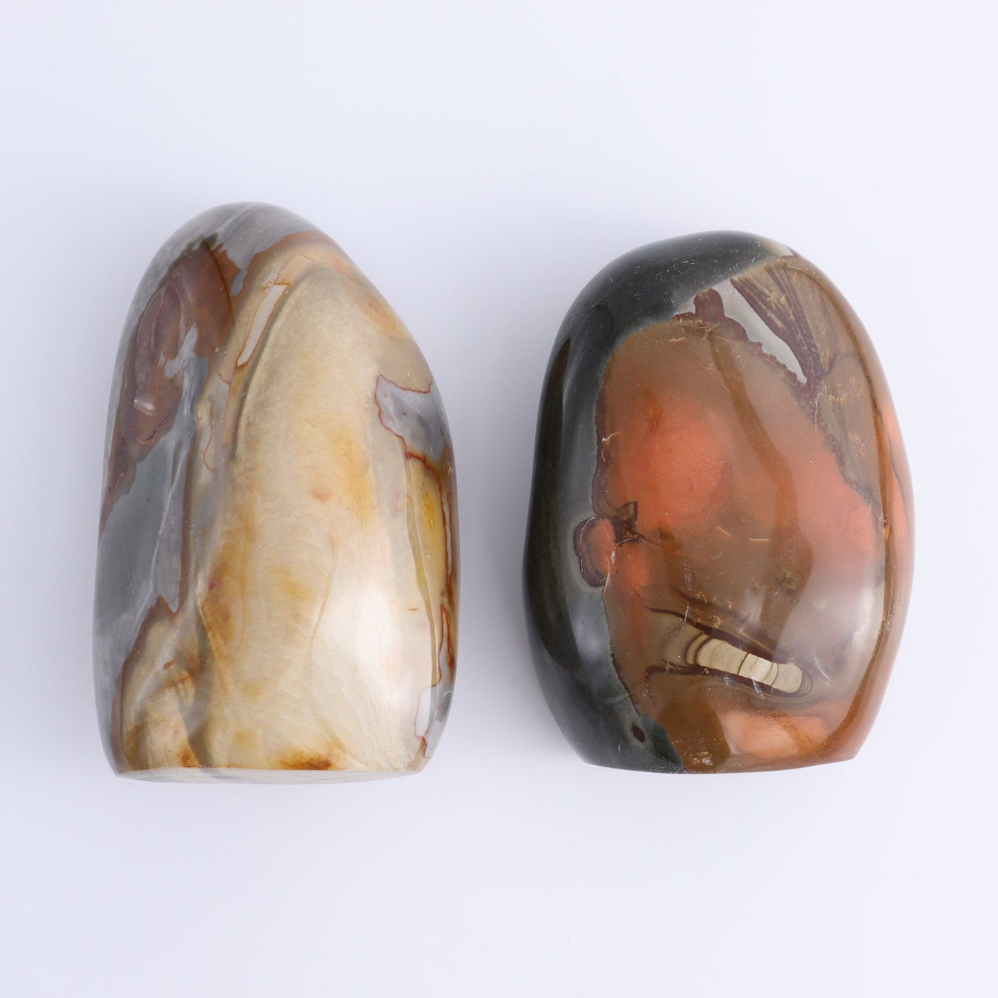 Polychrome Jasper Freeforms Set of 6 - Expert Wholesale and Supplier of Wholesale Crystals & Bulk Gemstones, ["jasper","Madagascar","Polychrome Jasper"]