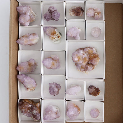Cactus Quartz Set of 19