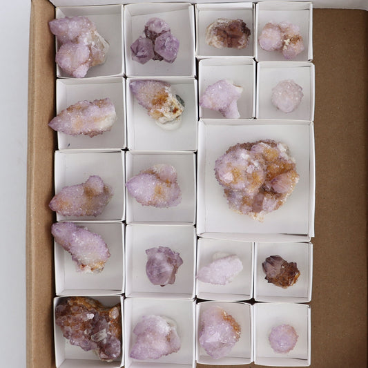 Cactus Quartz Set of 19
