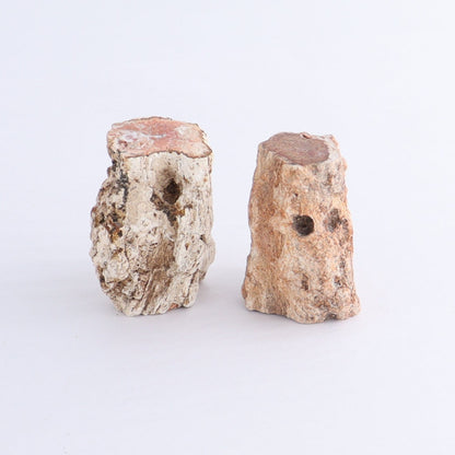 Petrified Wood Cut Bases Set of 10 - Expert Wholesale and Supplier of Wholesale Crystals & Bulk Gemstones, ["Cut Base","Petrified Wood"]