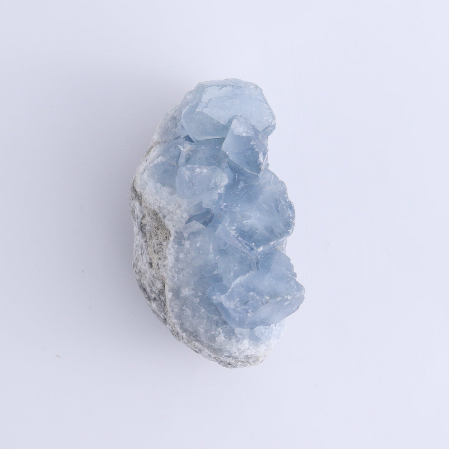 Celestite Clusters Set of 9 - Expert Wholesale and Supplier of Wholesale Crystals & Bulk Gemstones, ["Celestite","Freeform"]
