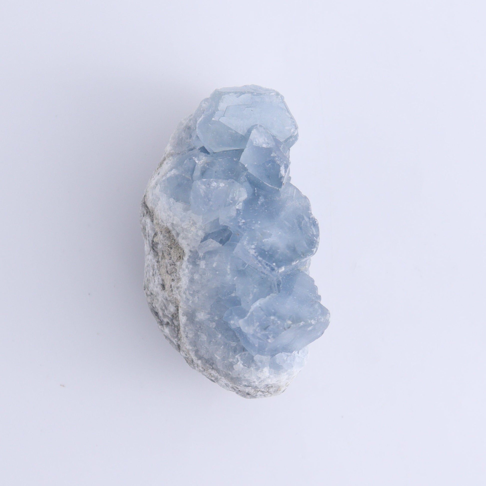 Celestite Clusters Set of 9 - Expert Wholesale and Supplier of Wholesale Crystals & Bulk Gemstones, ["Celestite","Freeform"]