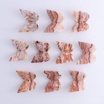 One Crazy Lace Agate Butterfly - Expert Wholesale and Supplier of Wholesale Crystals & Bulk Gemstones, ["Agate","Butterflies","Butterfly","Crazy Lace Agate"]
