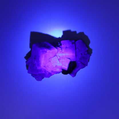 Fluorite Purple Rain Pocket Set of 8 - Expert Wholesale and Supplier of Wholesale Crystals & Bulk Gemstones, ["close_50","England","Fluorite","Purple Rain Pocket","Rough"]