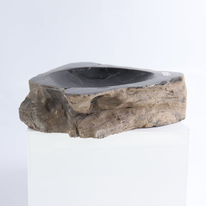 One Petrified Wood Brown & Black Rough Bowl