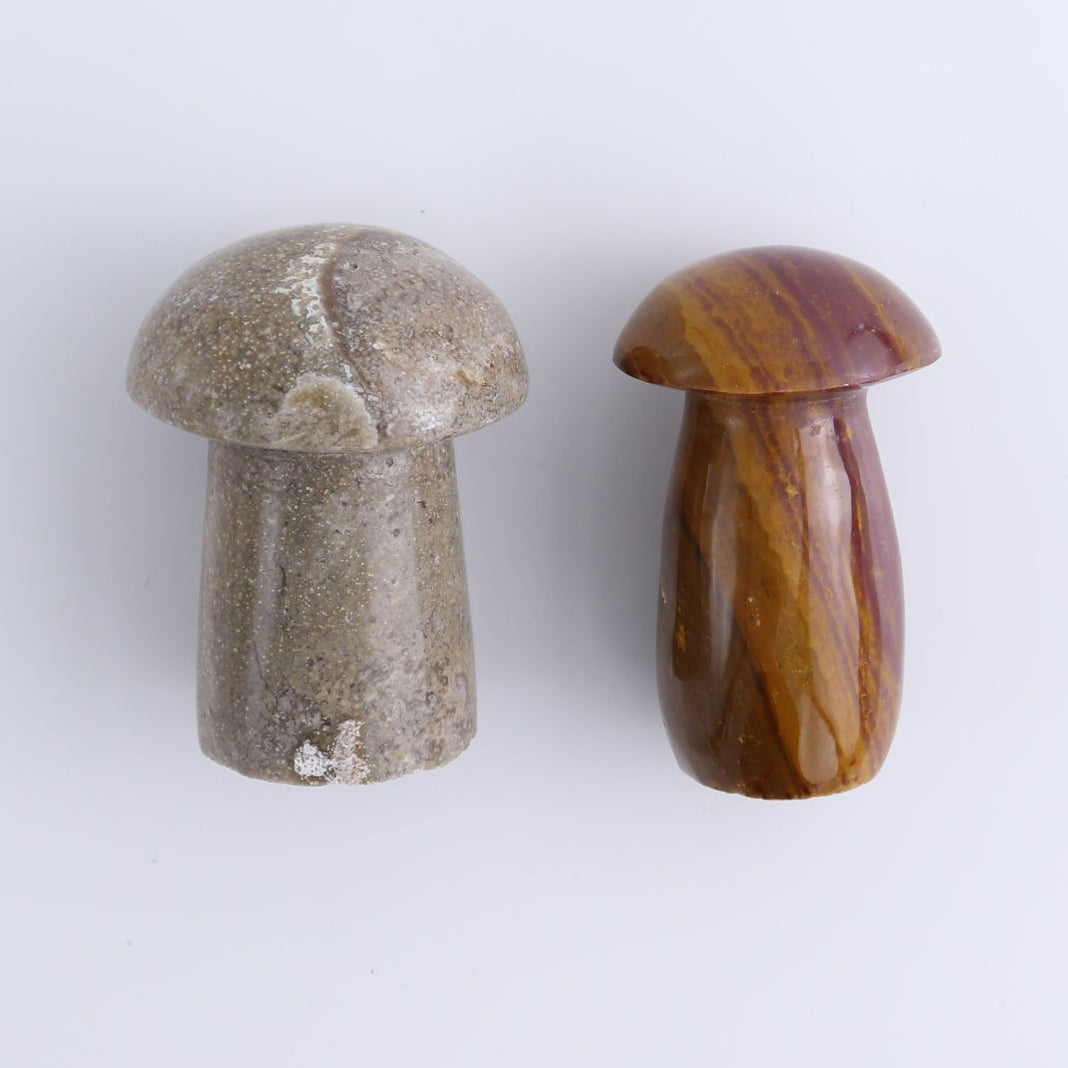 Jasper Mushrooms Set of 8
