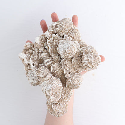 Desert Rose Set of 3
