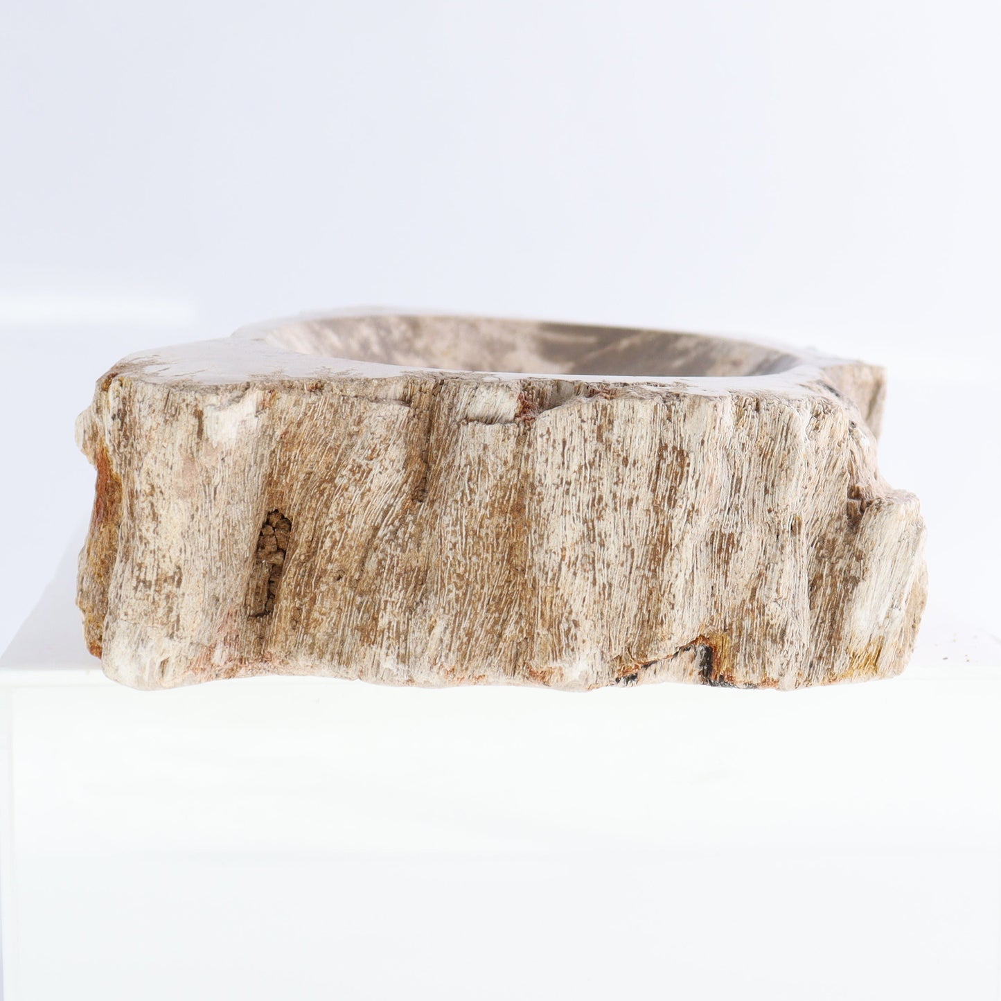 Petrified Wood Bowls Set of 2
