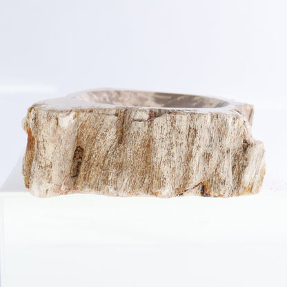 Petrified Wood Bowls Set of 2