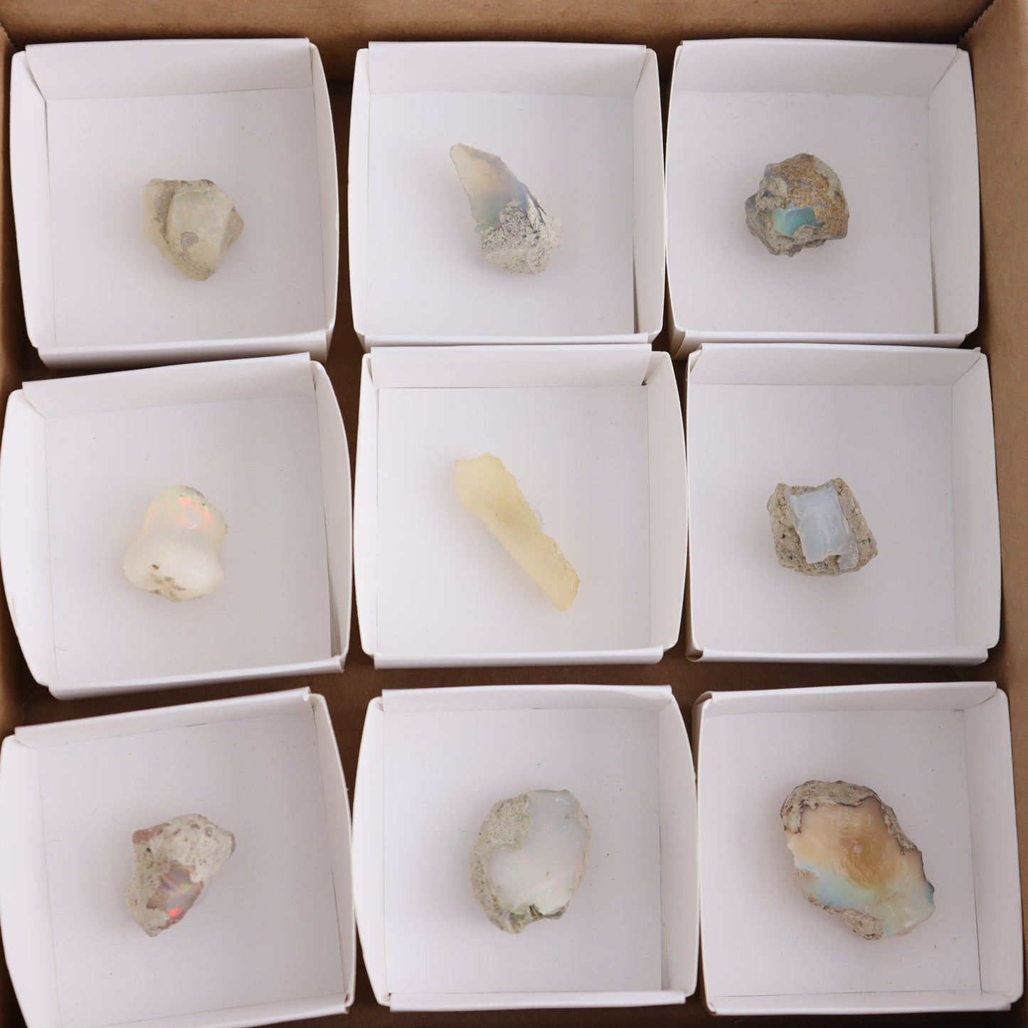 Ethiopian Opal Flat of 9 - Expert Wholesale and Supplier of Wholesale Crystals & Bulk Gemstones, ["ethiopian opal","Mexico","Opal","Rough"]