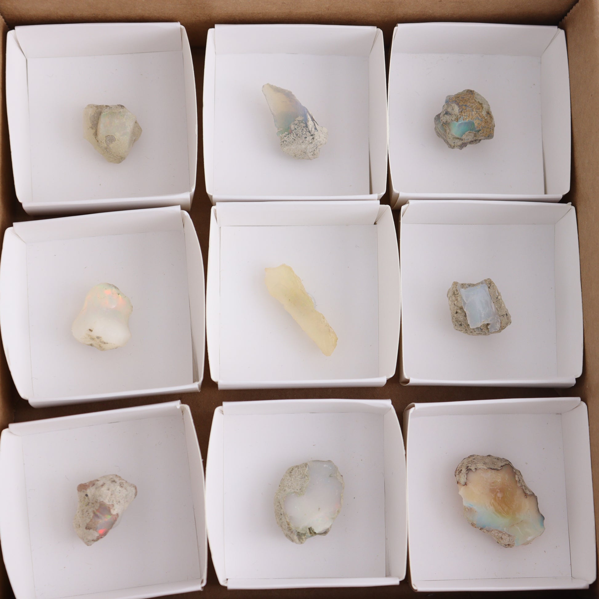 Ethiopian Opal Flat of 9 - Expert Wholesale and Supplier of Wholesale Crystals & Bulk Gemstones, ["ethiopian opal","Mexico","Opal","Rough"]