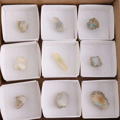 Ethiopian Opal Flat of 9 - Expert Wholesale and Supplier of Wholesale Crystals & Bulk Gemstones, ["ethiopian opal","Mexico","Opal","Rough"]