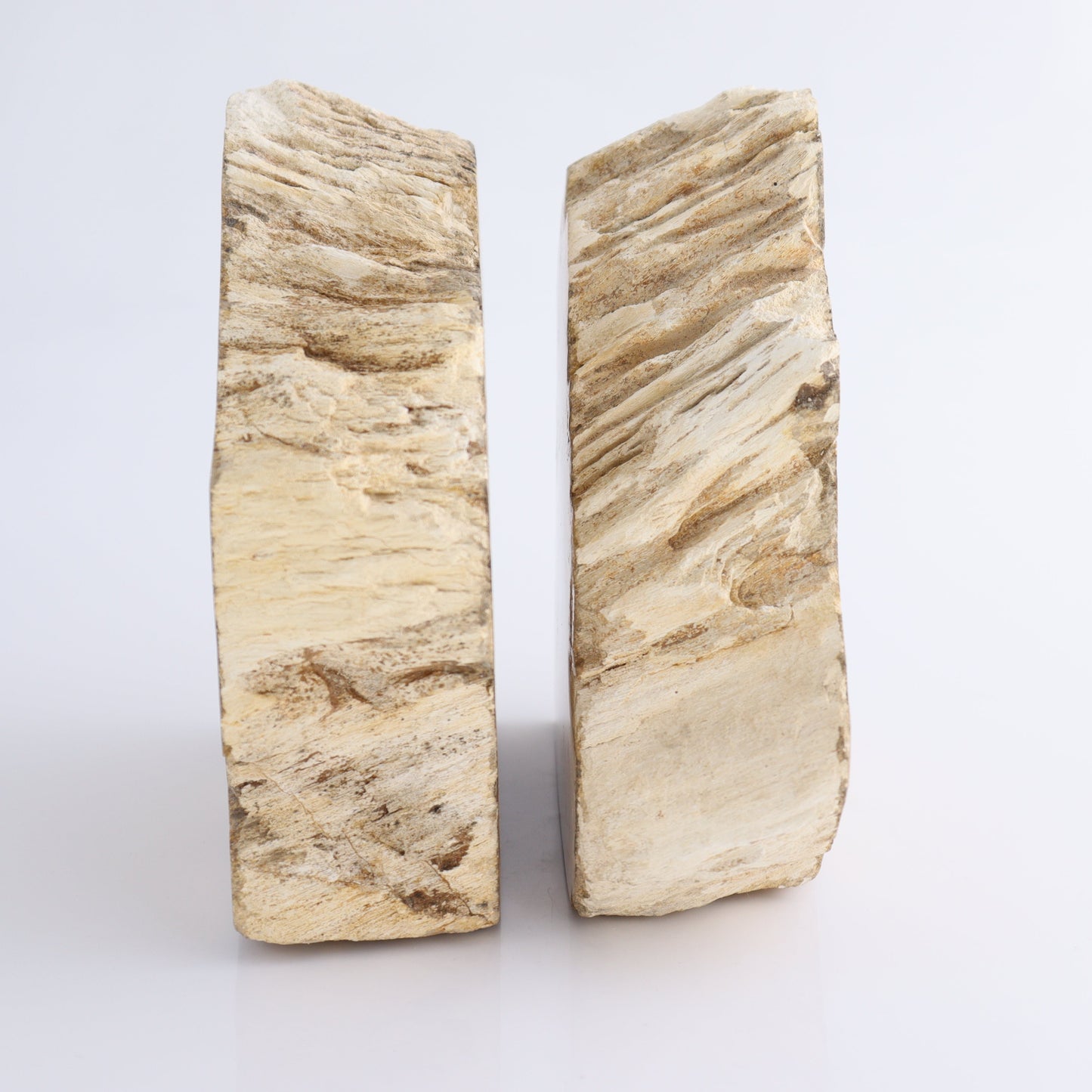 Bookends Petrified Wood - Expert Wholesale and Supplier of Wholesale Crystals & Bulk Gemstones, ["Bookends","Indonesia","Petrified Wood"]