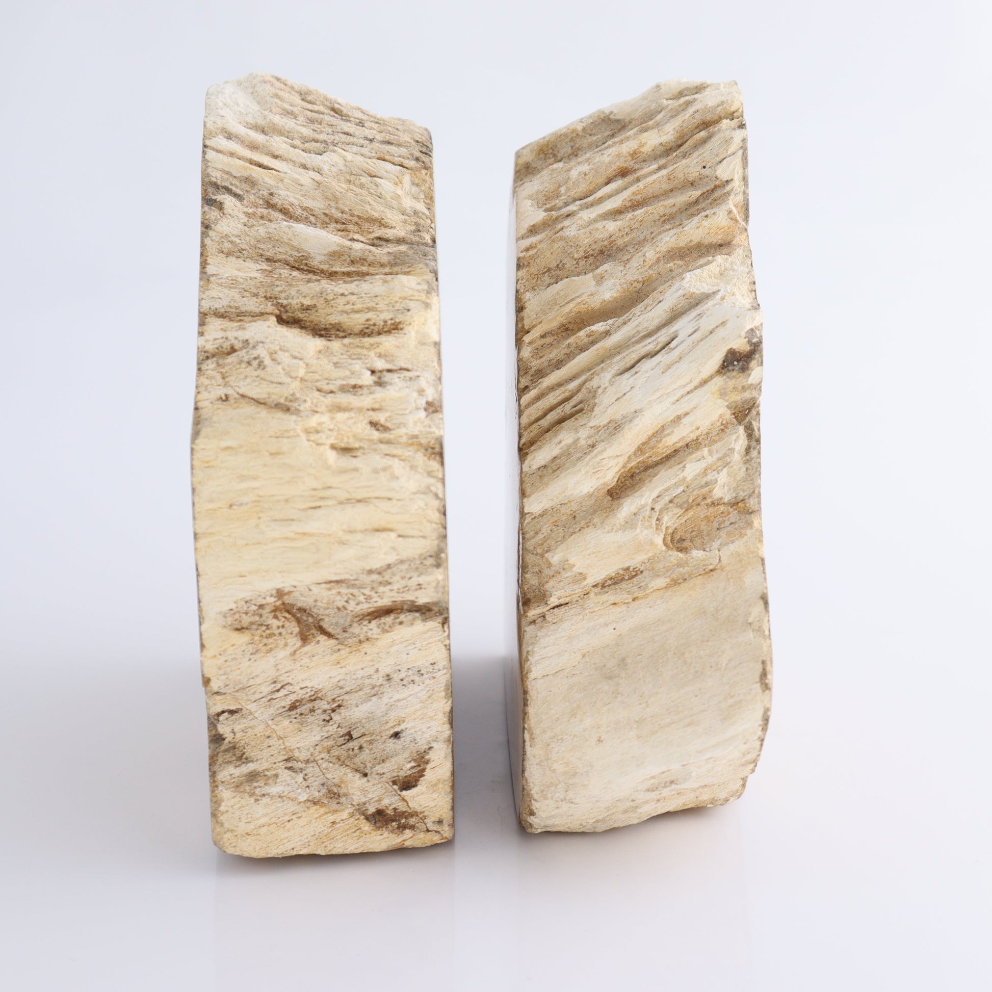 Bookends Petrified Wood - Expert Wholesale and Supplier of Wholesale Crystals & Bulk Gemstones, ["Bookends","Indonesia","Petrified Wood"]