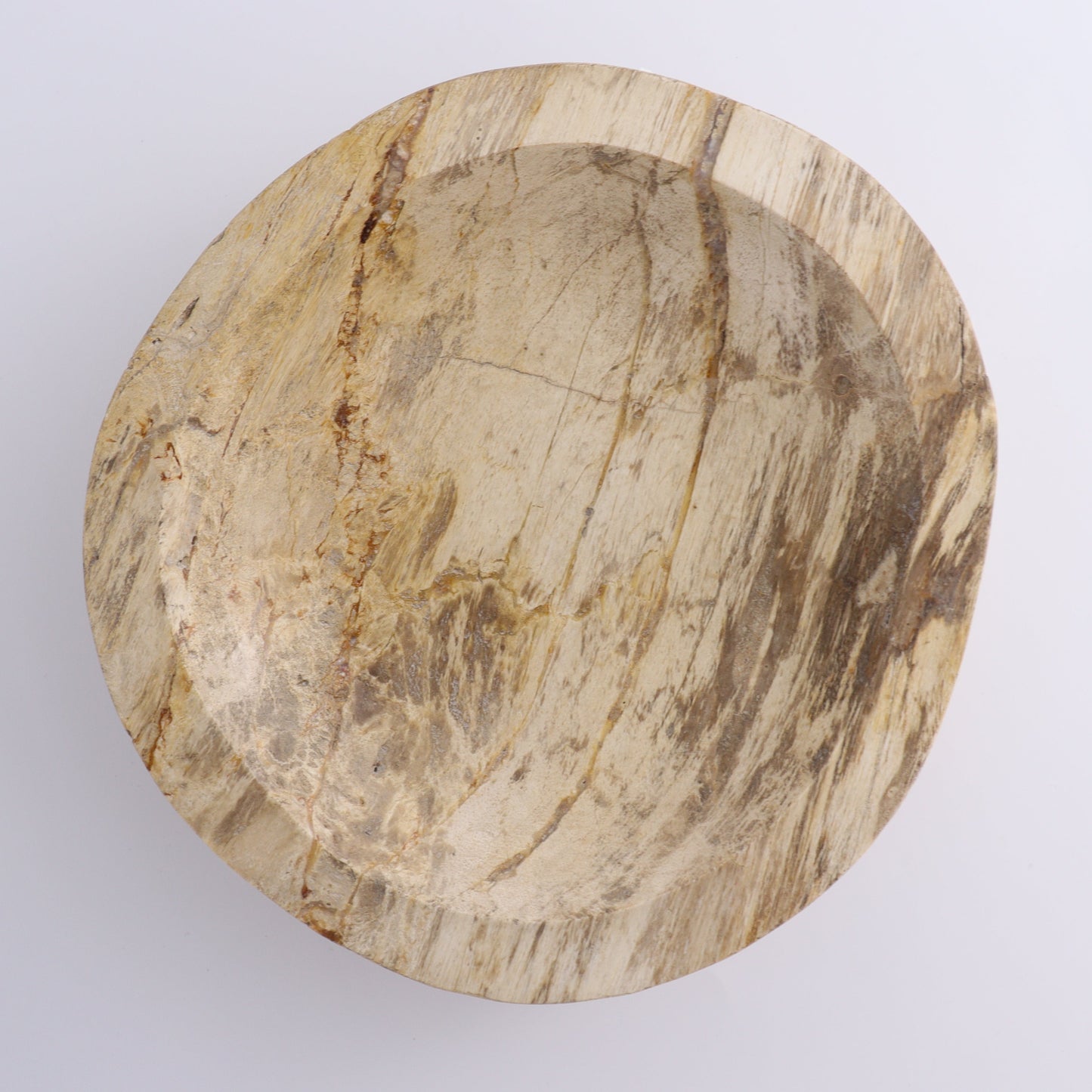 Petrified Wood Bowl - Expert Wholesale and Supplier of Wholesale Crystals & Bulk Gemstones, ["Bowls","Indonesia","Petrified Wood"]