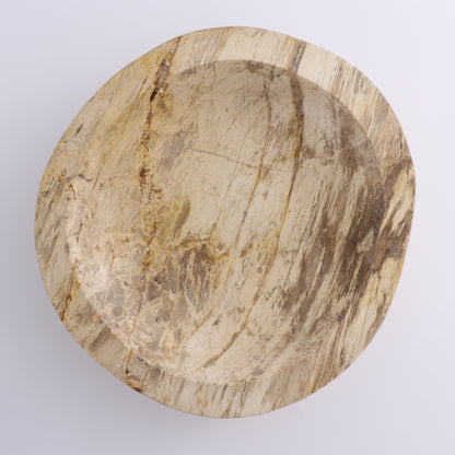 Petrified Wood Bowl - Expert Wholesale and Supplier of Wholesale Crystals & Bulk Gemstones, ["Bowls","Indonesia","Petrified Wood"]
