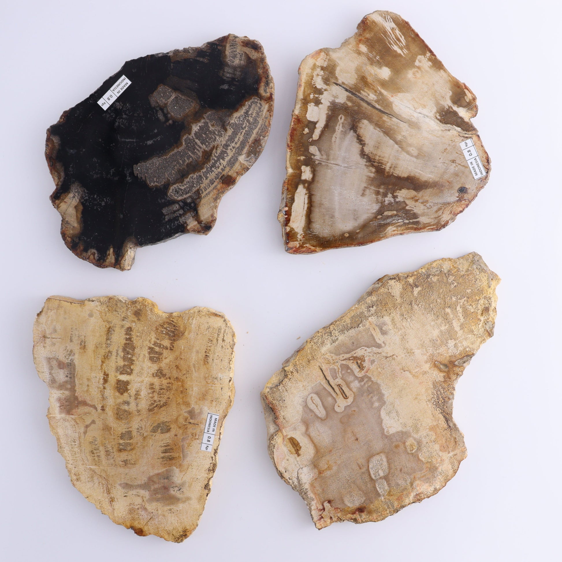 Petrified Wood Slices & Slabs Set of 4 - Expert Wholesale and Supplier of Wholesale Crystals & Bulk Gemstones, ["Freeforms","Indonesia","Petrified Wood","Slices and Slabs"]