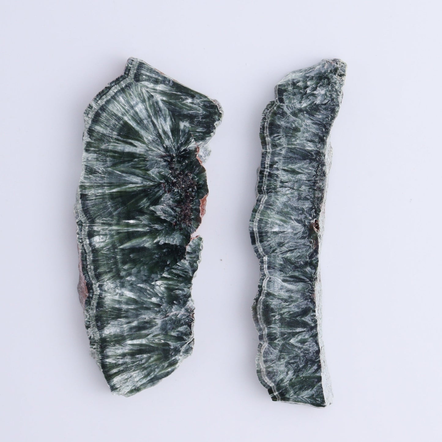 Seraphinite Slices Set of 6 - Expert Wholesale and Supplier of Wholesale Crystals & Bulk Gemstones, ["Seraphinite","Slices and Slabs"]