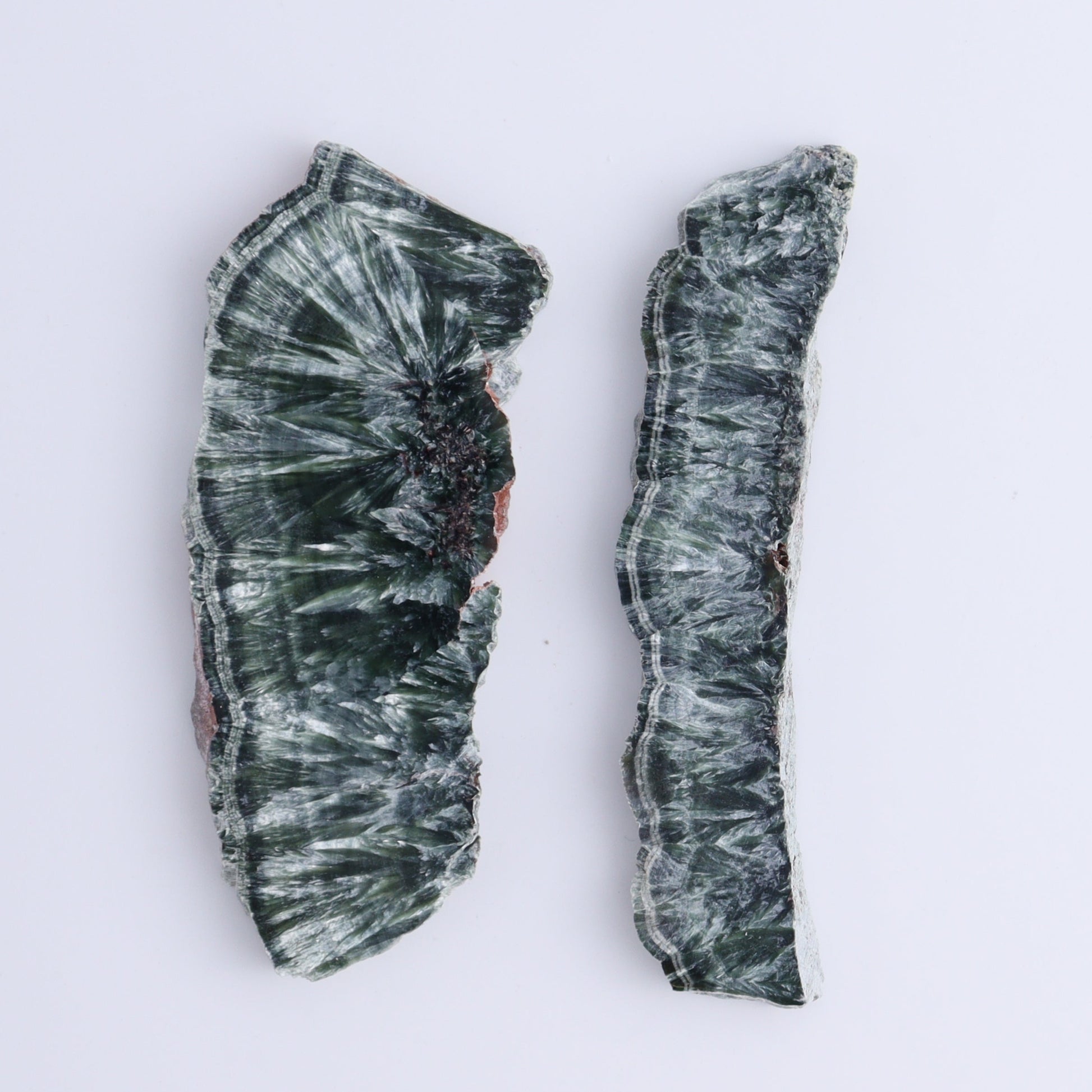 Seraphinite Slices Set of 6 - Expert Wholesale and Supplier of Wholesale Crystals & Bulk Gemstones, ["Seraphinite","Slices and Slabs"]