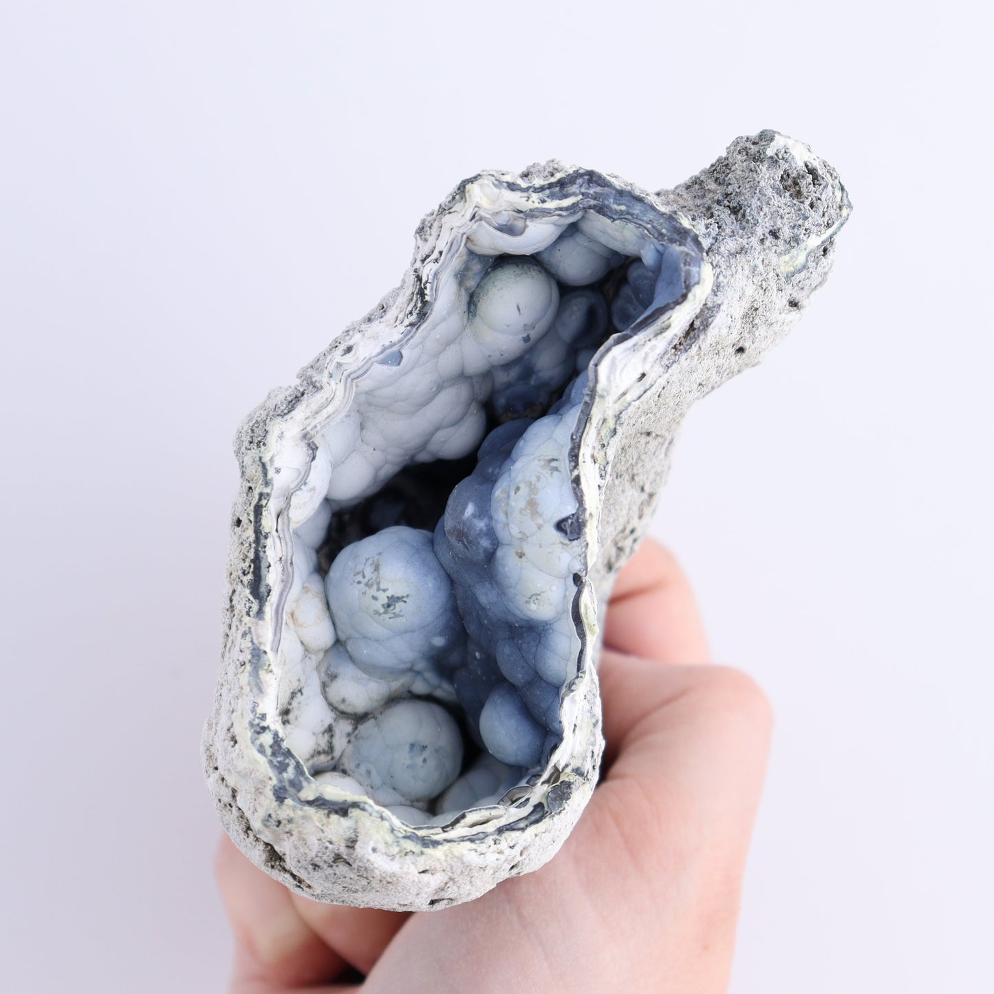 Agatized Coral Flat - Expert Wholesale and Supplier of Wholesale Crystals & Bulk Gemstones, ["Agate","Agatized Coral","Coral","United States"]