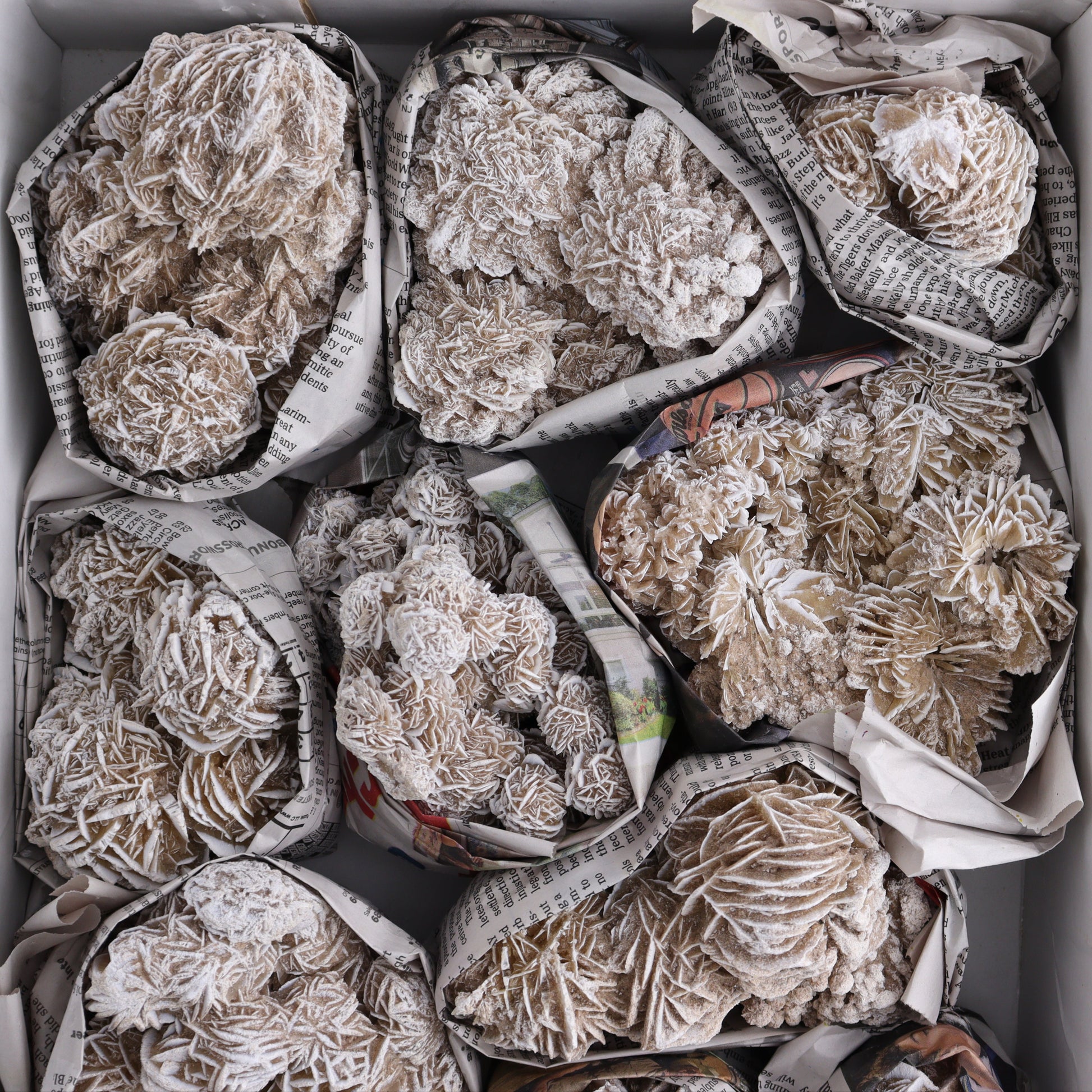 Desert Rose Set of 11 - Expert Wholesale and Supplier of Wholesale Crystals & Bulk Gemstones, ["Desert Rose","Freeforms","Morocco"]