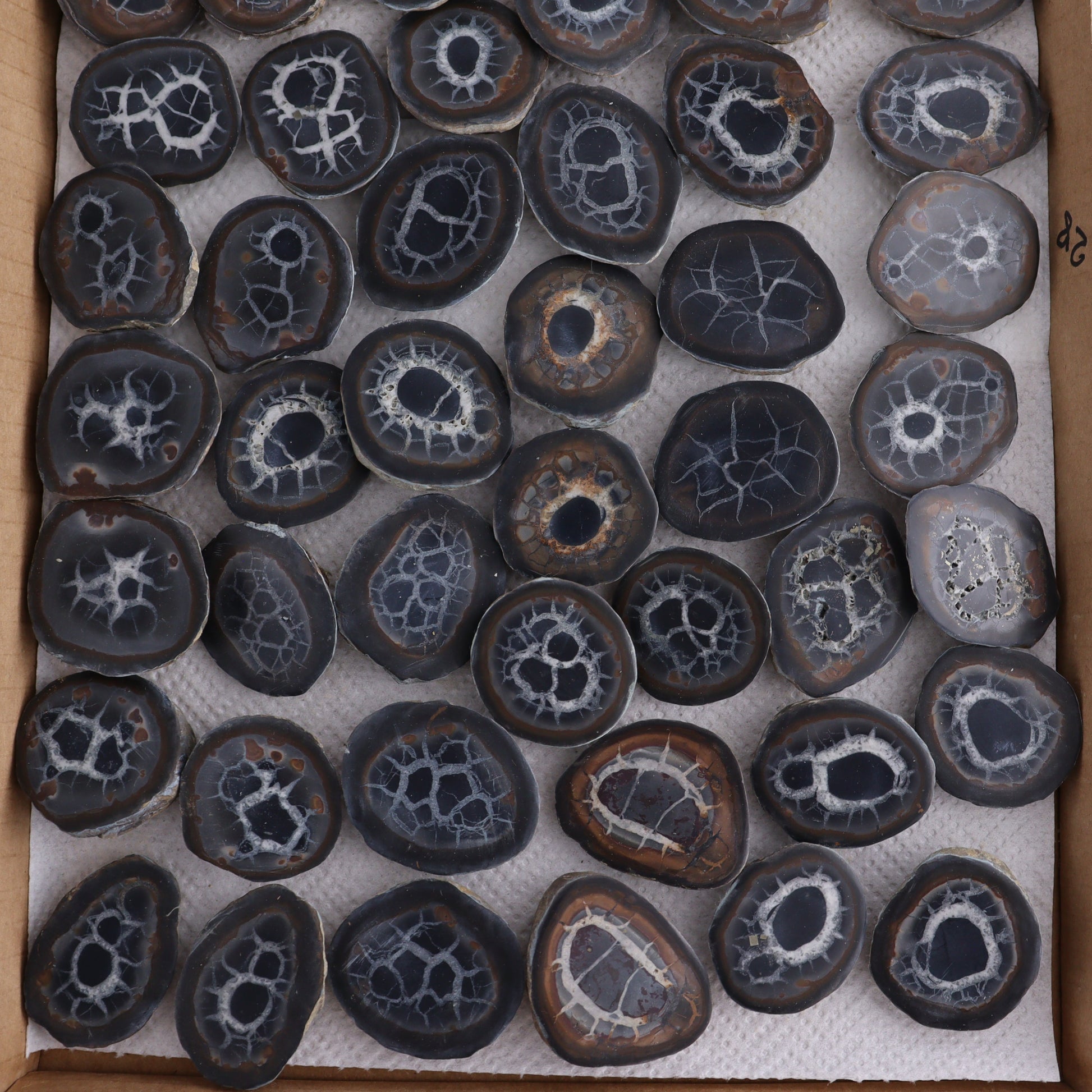 Septarian Geodes Flat - Expert Wholesale and Supplier of Wholesale Crystals & Bulk Gemstones, ["Geodes","Septarian"]