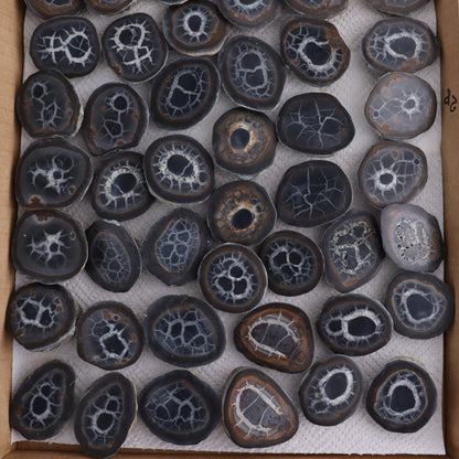 Septarian Geodes Flat - Expert Wholesale and Supplier of Wholesale Crystals & Bulk Gemstones, ["Geodes","Septarian"]