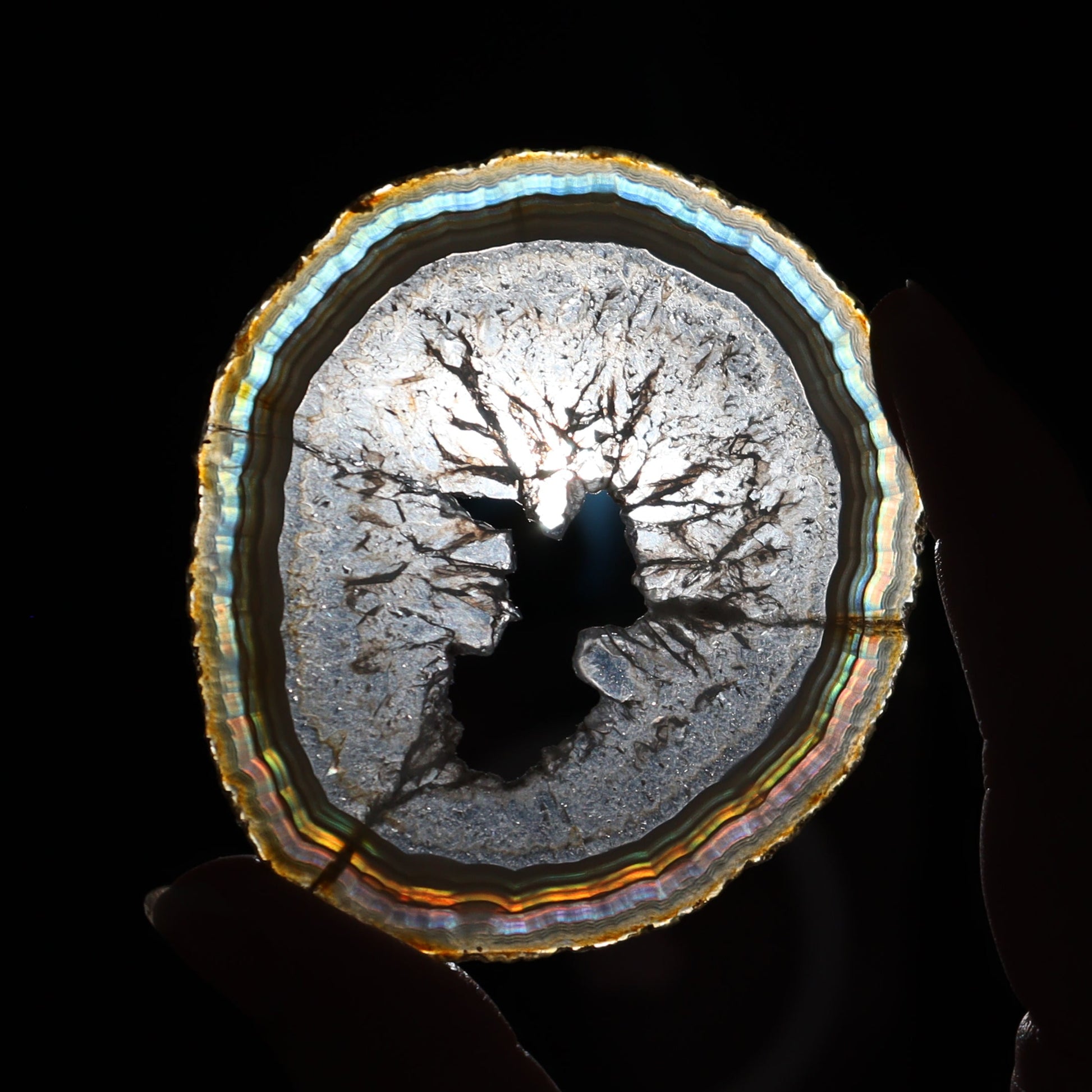 Iris Agate Slices Set of 6 - Expert Wholesale and Supplier of Wholesale Crystals & Bulk Gemstones, ["Agate","Iris Agate","Slices and Slabs"]
