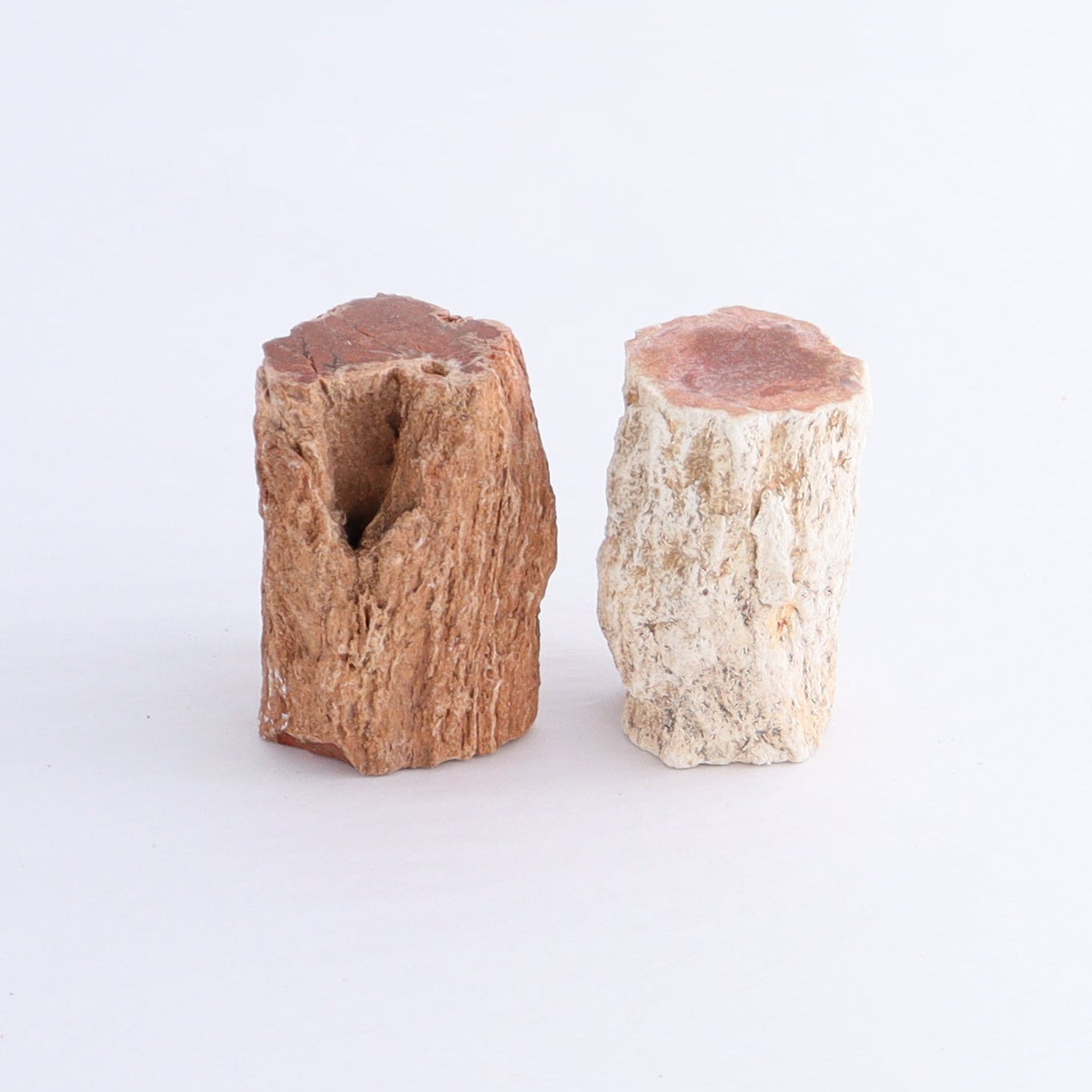 Petrified Wood Cut Bases Set of 10 - Expert Wholesale and Supplier of Wholesale Crystals & Bulk Gemstones, ["Cut Base","Petrified Wood"]